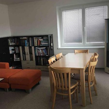 Family Apartment With Garden And Parking Spot Чеське Будєйовіце Екстер'єр фото