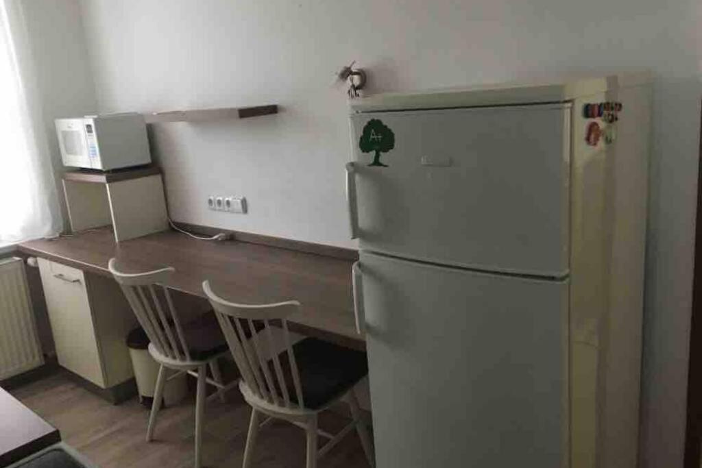Family Apartment With Garden And Parking Spot Чеське Будєйовіце Екстер'єр фото
