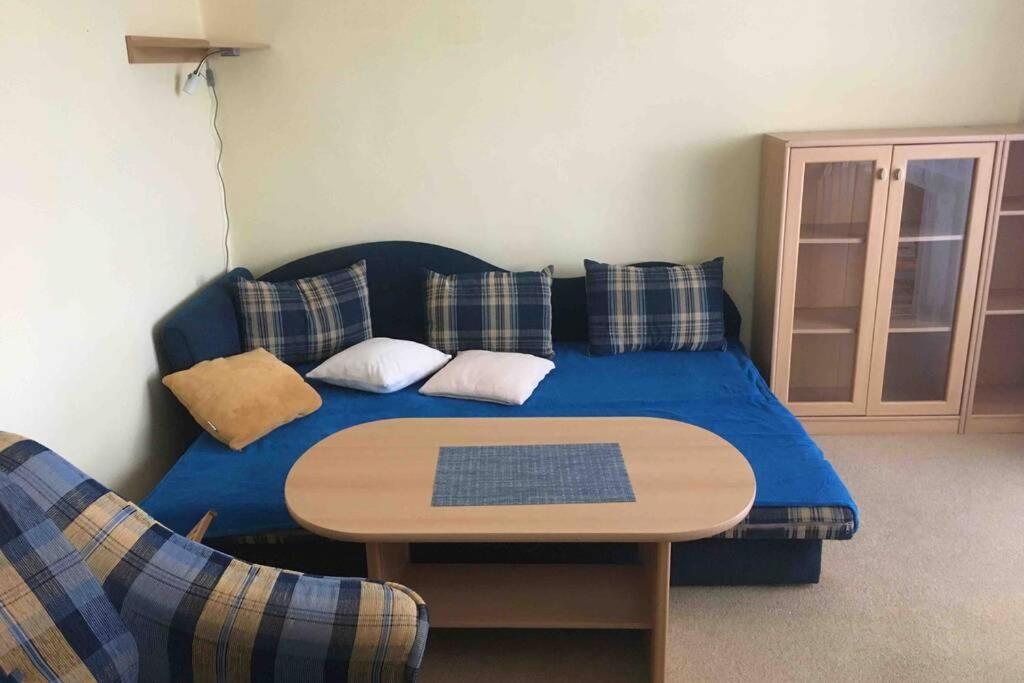 Family Apartment With Garden And Parking Spot Чеське Будєйовіце Екстер'єр фото